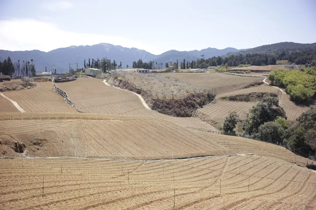 2026年Q1电子元器件市场行情综述:功率半导体与MLCC供需动向